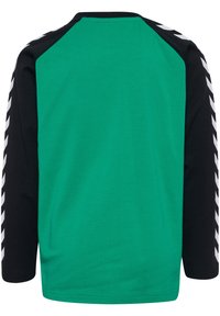 Langarmshirt mit grünem Körper, schwarzen Raglanärmeln und weißen Chevronstreifen an der Seite. Hergestellt aus weichem, leichtem Stoff.