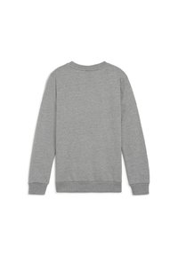 Grijze sweatshirt met een geribbelde ronde hals en lange mouwen met manchetten. Hete gladde textuur, geen zichtbare patronen of details aan de achterkant.