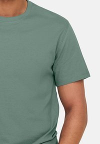 Kurzarm-T-Shirt aus weichem grünen Baumwollstoff, mit Rundhalsausschnitt und glatter Textur, versehen mit sichtbaren Nähten an den Ärmeln.
