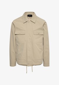 Selectat, winter twig