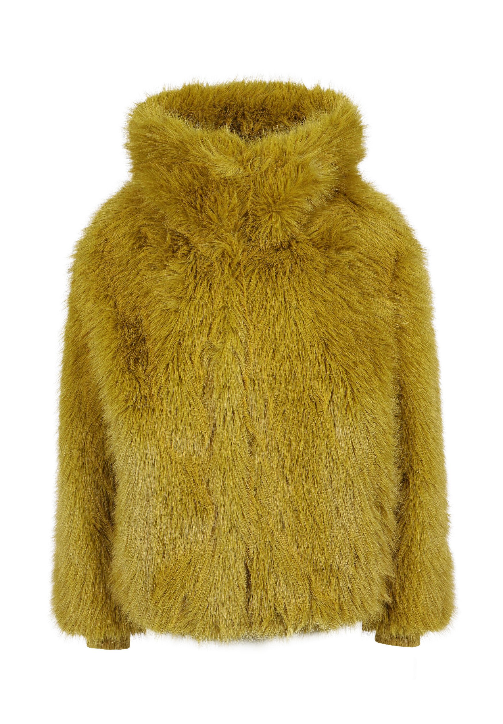 Freaky Nation ELANIE - Winter jacket - lemongrass/mustard yellow