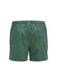 Groene zwembroek gemaakt van lichtgewicht, glad materiaal. Voorzien van een elastische tailleband en een enkele achterzak. Eenvoudig ontwerp.