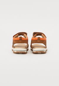 Miniaturna slika 3
