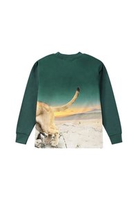 Molo REXTON LONG SLEEVES - Topper langermet - green
