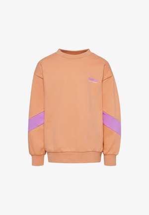 Młoda dziewczyna z warkoczami, ubrana w morelową bluzę, dopasowane szorty, białe skarpetki z pomarańczowymi paskami i różowe trampki, stojąca na jednolitym tle.