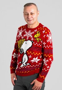Roter gestrickter Pullover mit einem großen Snoopy-Design und einem gelben Vogel, verziert mit weißen Schneeflocken und bunten Mustern überall.
