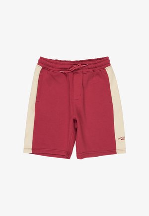 Garçon portant un t-shirt Quiksilver rouge et crème, un short assorti, des chaussettes à carreaux et des baskets noires DC sur un fond blanc.