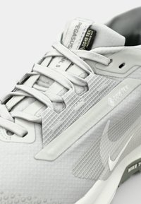Light gray running shoe with a textured upper, featuring GORE-TEX label, rubber sole, and tonal laces. Nike logo on the side.