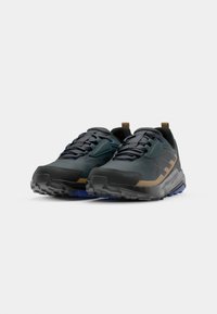 Adidas Terrex ANYLANDER R.RDY - Pohodniški čevlji - aurora ivy/core black/cardboard