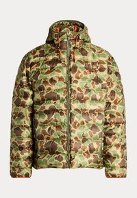 TERRA INSULATED - Veste d'hiver - frog skin