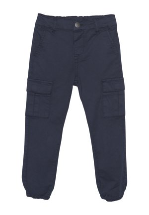 Cargo trousers - parisian night