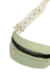 Borsa a tracolla verde in pelle con finitura testurizzata, hardware dorato e una tracolla con motivo in crema e verde menta. Presenta due scomparti con zip.