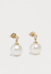 EARRINGS - Kõrvarõngad - yellow gold-coloured