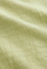 Tissu vert clair avec un léger motif à carreaux, présentant des lignes texturées et une finition douce et lisse. Idéal pour des applications de tapisserie ou de vêtements.