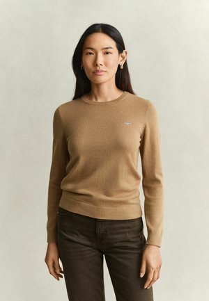 Frau mit langen schwarzen Haaren, die einen hellbraunen Pullover und dunkle Hose trägt, steht vor einem neutralen Hintergrund.