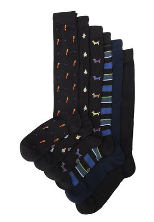 6 PACK FANCY GIFT BOX - Knee high socks - assortment