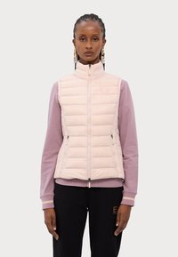 Armani Exchange GILET  - Liemenė - milk punch