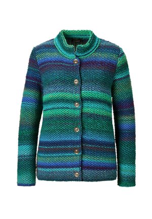 GOLDNER Vest - blue