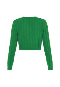 Groene cropped trui met lange mouwen, textuur met kabelbreipatroon, en geribbelde halslijn en manchetten. Geen zichtbare sluitingen.