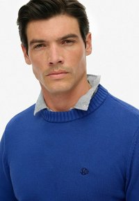 Man met donker haar in een blauwe gebreide trui over een gestreepte overhemd met kraag tegen een effen witte achtergrond.