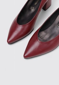 Talons en cuir bordeaux avec un bout pointu et un petit talon carré. Texture lisse et design minimaliste, présentant une ouverture courbée pour l'entrée du pied.