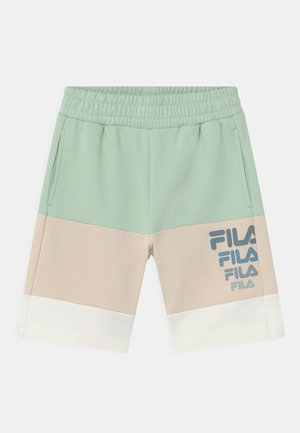 PADDY BLOCKED - Shorts - silt green/rainy day/snow white
