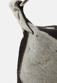 Miniatyrbilde 5
