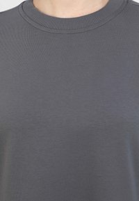 Grau Sweatshirt mit Rundhalsausschnitt aus glattem Material und geripptem Kragen, das ein einfaches Design ohne Drucke oder Muster aufweist.
