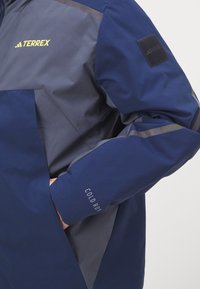 Adidas Terrex NATIONAL GEOGRAPHIC INSULATED REVERSABLE - Zimní bunda - grey six