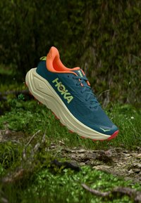 Niet geselecteerd, tidal wave/pampas grass