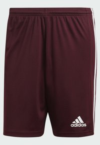 adidas Performance SQUADRA 21 SHORTS - Kurze Sporthose - red