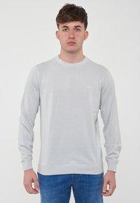 Maglione grigio chiaro a maniche lunghe realizzato in tessuto morbido. Presenta un colletto rotondo, polsini a costine e un piccolo logo sul petto. Design semplice.