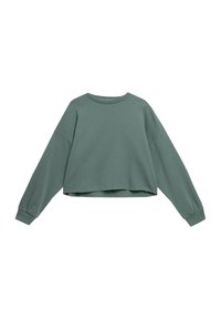 Felpa verde cropped con maniche lunghe, scollo rotondo e orlo grezzo. Realizzata in materiale morbido con una superficie liscia.