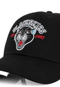 Black cap featuring a black panther head patch with red and white embroidery, and text "BLACKSKIES" and "est. 2009" in contrasting colors.