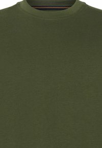 Olivegrünes Baumwoll-T-Shirt mit Rundhalsausschnitt und einer einfachen, glatten Textur. Keine Muster oder zusätzlichen Details sichtbar.