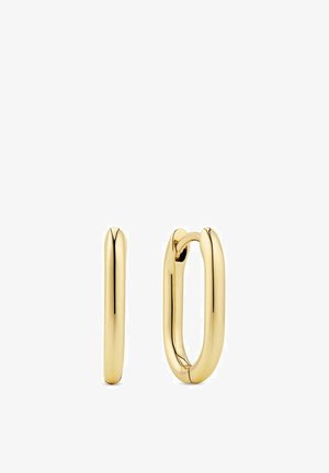Guldörhängen i form av ringar med en slät, polerad yta. Har en bred, avlång form och en enkel spänne.