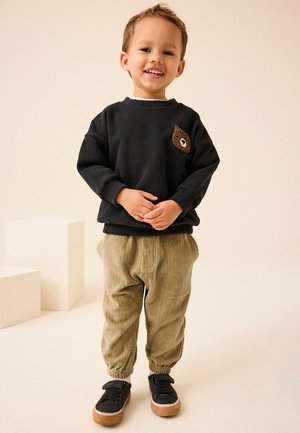 Next REGULAR FIT - Pantalones - stone