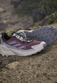 Trailrunning-Schuhe mit lila-grauem Design, Gore-Tex-Label und robuster Sohle, die auf felsigem Außengelände ruhen.