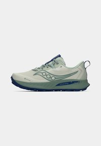 Ανοιχτού γκρι και πράσινα running shoe Saucony Gore-Tex με ναυτικό μπλε outsole, λογότυπο στο πλάι, σχέδιο με κορδόνια και πίσω λωρίδα για εύκολο φόρεμα.