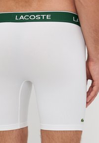 Λευκά μάλλινα σλιπ με υφή, που διαθέτουν ζώνη με το λογότυπο της Lacoste σε πράσινο χρώμα και ένα μικρό πράσινο κροκόδειλο στο πόδι.