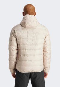Adidas Terrex TERREX MULTI LIGHT DOWN HOODED - Chaqueta de plumas - beige