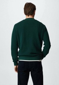 Pull vert côtelé à manches longues, col rond et poignets ajustés. Porté avec un pantalon foncé, vu de dos sur un fond clair.