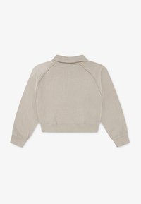 Jordan QUARTER ZIP - Felpa - sanddrift