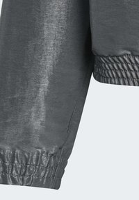 adidas Sportswear Větrovka - grey sixgrey twosilver met.