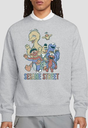 SESAME STREET COLORFUL GROUP - Long sleeved top - mottled grey