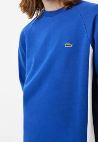 Niebieski sweter z okrągłym dekoltem i rękawami raglanowymi, z białymi panelami po bokach oraz małym zielonym logo krokodyla na piersi.