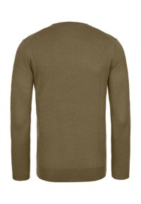 Olivově zelený pletený svetr s dlouhými rukávy, kulatým výstřihem a žebrovanými manžetami. Měkká textura, bez viditelných vzorů nebo kovových doplňků. Zobrazen pohled zezadu.