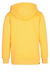 DC Shoes BAILOUT - Felpa con zip - golden