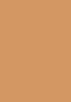 3w palomino