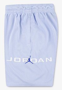 Gli shorts atletici in rete azzurri presentano un elastico in vita, con la scritta "JORDAN" stampata in bianco e un logo blu in silhouette sul davanti.